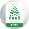 Pines de energía CENS